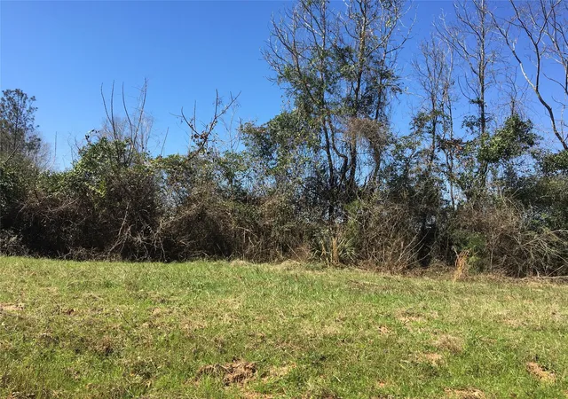 Homes for sale in Garrison, TX | Lot11 County Road 175, Garrison, TX 75946 | MLS# 53766855