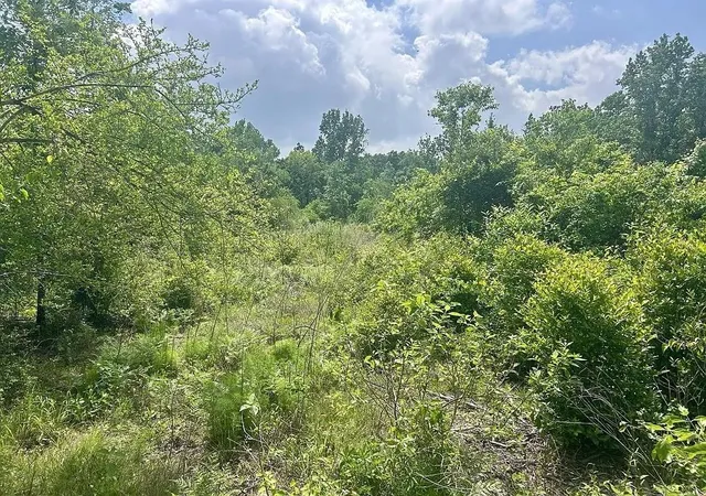 Homes for sale in Garrison, TX | Lot11 County Road 175, Garrison, TX 75946 | MLS# 53766855