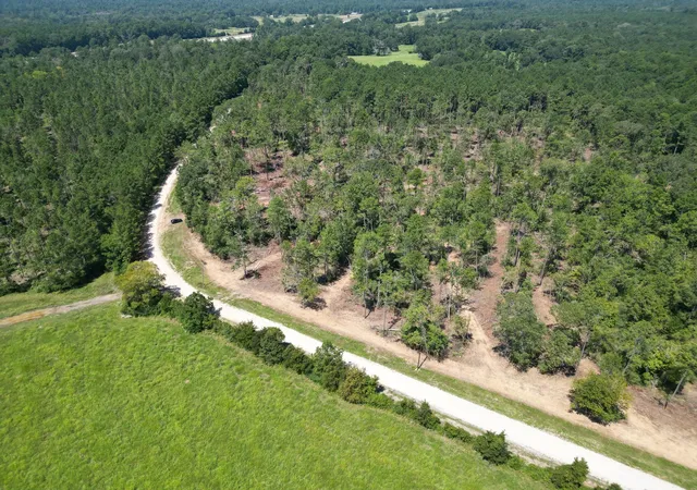 Photo 1 of Land for sale at Tbd Vick Spring Rd, New Waverly, TX 77358 | MLS# 5131278 | Listing updated on 2026-09-01