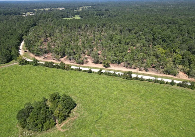 Photo 3 of Land for sale at Tbd Vick Spring Rd, New Waverly, TX 77358 | MLS# 5131278 | Listing updated on 2026-09-01