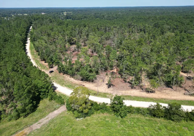 Photo 3 of Land for sale at Tbd Vick Spring Rd, New Waverly, TX 77358 | MLS# 5131278 | Listing updated on 2026-09-01