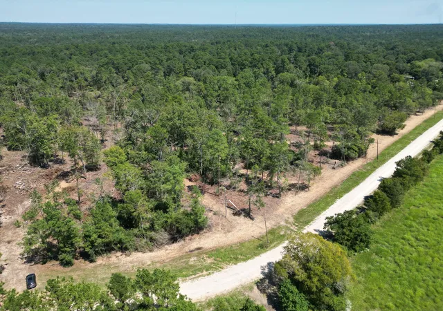 Photo 4 of Land for sale at Tbd Vick Spring Rd, New Waverly, TX 77358 | MLS# 5131278 | Listing updated on 2026-09-01