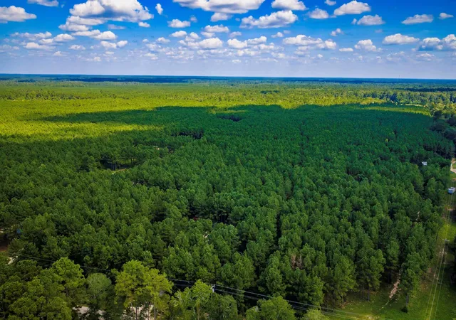 39th image of 5633 Duff Rd, Livingston, TX 77351 | MLS# 70604438
