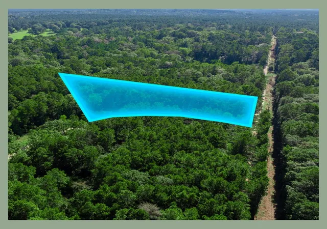 Photo 4 of Land for sale at Lots 72–74 Sweetgum Ln, Oakhurst, TX 77359 | MLS# 67327520 | Listing updated on 2026-08-19