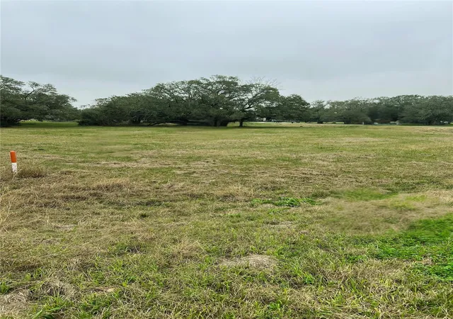 Photo 2 of Land for sale at 103 Vintage Oaks Ct, Angleton, TX 77515 | MLS# 59862225 | Listing updated on 2026-01-08