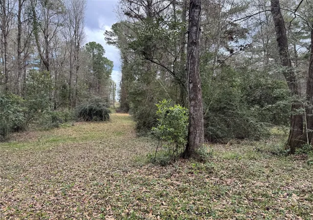 Photo 4 of Land for sale at 720 Everitt Rd, Cleveland, TX 77328 | MLS# 6565927 | Listing updated on 2026-08-31