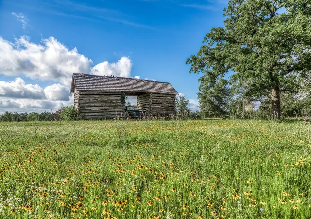 Homes for sale in Giddings, TX | 1237 Private Road 2181, Giddings, TX 78942 | MLS# 64302951