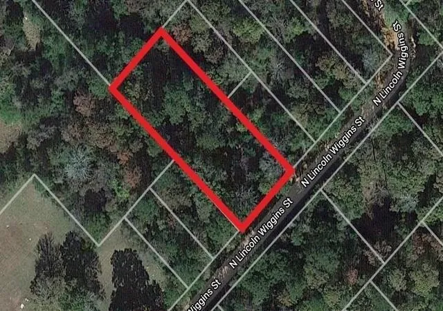 Photo 1 of Land for sale at 00 N Lincoln Wiggins St, Livingston, TX 77351 | MLS# 39669665 | Listing updated on 2026-07-26
