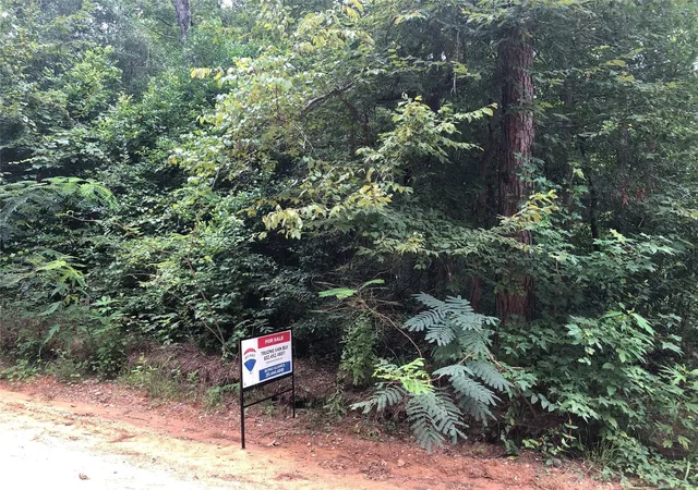 Photo 4 of Land for sale at 00 N Lincoln Wiggins St, Livingston, TX 77351 | MLS# 39669665 | Listing updated on 2026-07-26