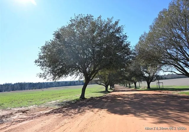 4th image of 503 S Green Vly, Woodville, TX 75979 | MLS# 77600794