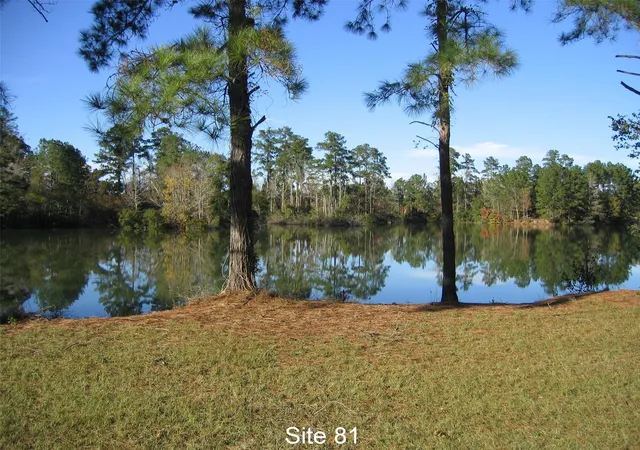 Photo 1 of Land for sale at 81 Pine Meadow, Cleveland, TX 77327 | MLS# 91154290 | Listing updated on 2025-11-24