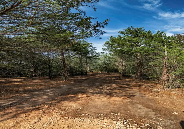 20th image of 468 (lot 16) Vineyard View Trl, Carmine, TX 78932 | MLS# 10477166