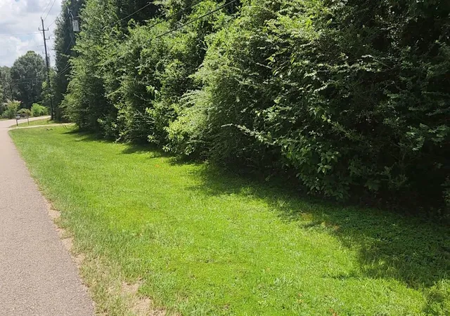 2nd image of Tbd Terri Ln, Magnolia, TX 77355 | MLS# 25614065
