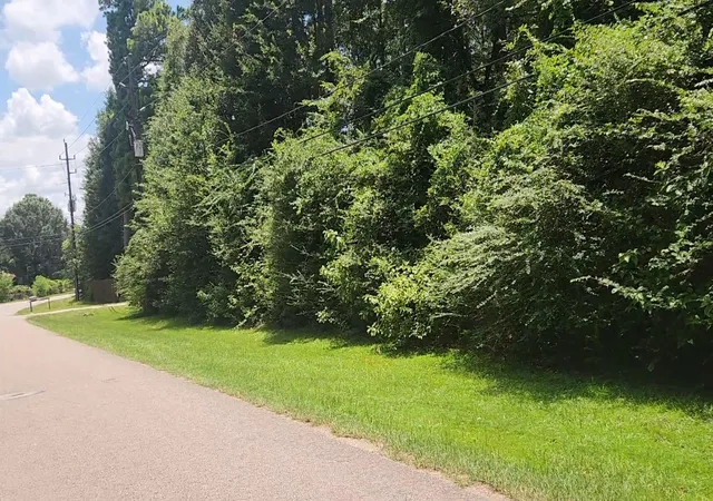 3rd image of Tbd Terri Ln, Magnolia, TX 77355 | MLS# 25614065