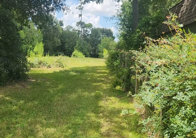 41st image of Tbd Terri Ln, Magnolia, TX 77355 | MLS# 25614065