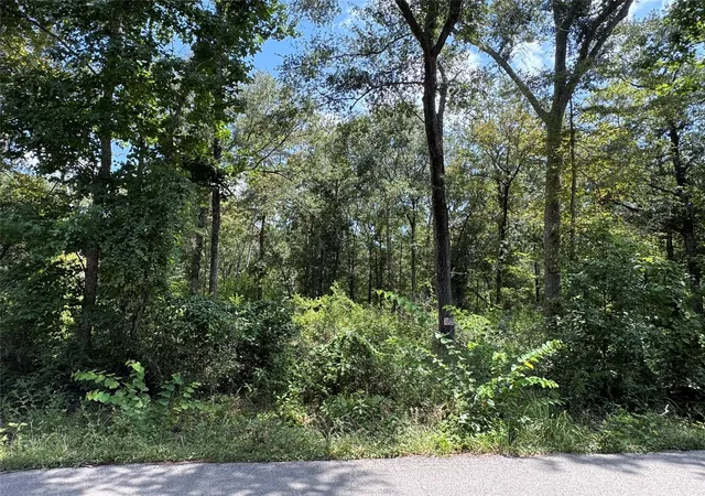 Photo 18 of Land for sale at 19959 Old Hwy 105, Cleveland, TX 77328 | MLS# 11196190 | Listing updated on 2026-08-07