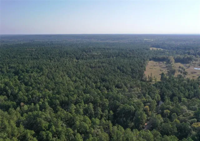 Photo 1 of Land for sale at 00000 Trinity Lady Park Rd, Trinity, TX 75862 | MLS# 75882164 | Listing updated on 2026-04-08