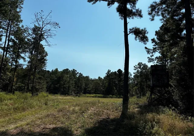 Photo 2 of Land for sale at 00000 Trinity Lady Park Rd, Trinity, TX 75862 | MLS# 75882164 | Listing updated on 2026-04-08