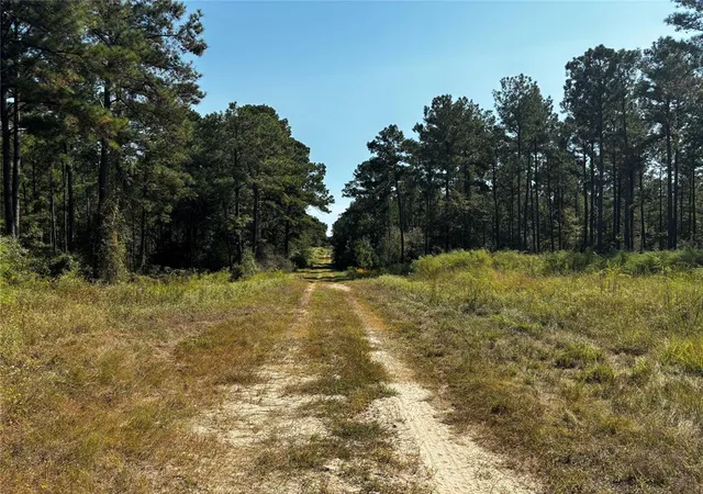 Photo 3 of Land for sale at 00000 Trinity Lady Park Rd, Trinity, TX 75862 | MLS# 75882164 | Listing updated on 2026-04-08