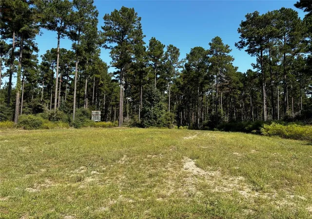 Photo 3 of Land for sale at 00000 Trinity Lady Park Rd, Trinity, TX 75862 | MLS# 75882164 | Listing updated on 2026-04-08