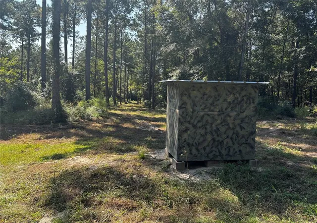 Photo 4 of Land for sale at 00000 Trinity Lady Park Rd, Trinity, TX 75862 | MLS# 75882164 | Listing updated on 2026-04-08