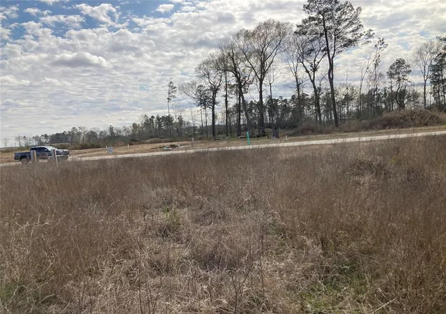 Photo 3 of Land for sale at 1033 Road 5601, Cleveland, TX 77327 | MLS# 62683343 | Listing updated on 2026-08-01
