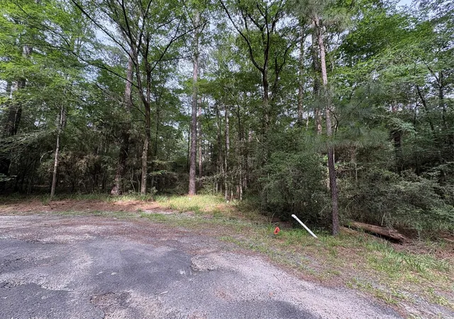 Photo 1 of Land for sale at Tbd N Clear Springs Rd, Trinity, TX 75862 | MLS# 50883247 | Listing updated on 2026-08-01