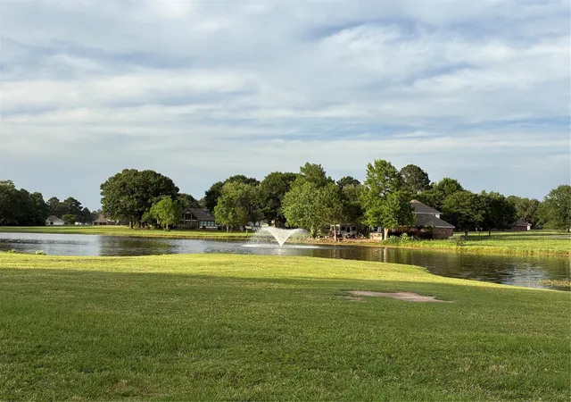 Photo 3 of Land for sale at Tbd N Clear Springs Rd, Trinity, TX 75862 | MLS# 50883247 | Listing updated on 2026-08-01