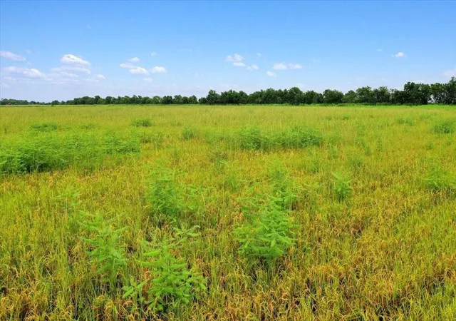 Homes for sale in Garwood, TX | 00 Old Boenisch Rd, Garwood, TX 77442 | MLS# 90746436