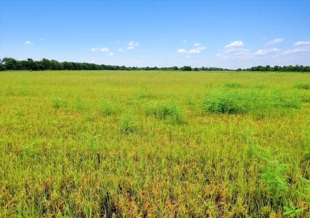 Homes for sale in Garwood, TX | 00 Old Boenisch Rd, Garwood, TX 77442 | MLS# 90746436