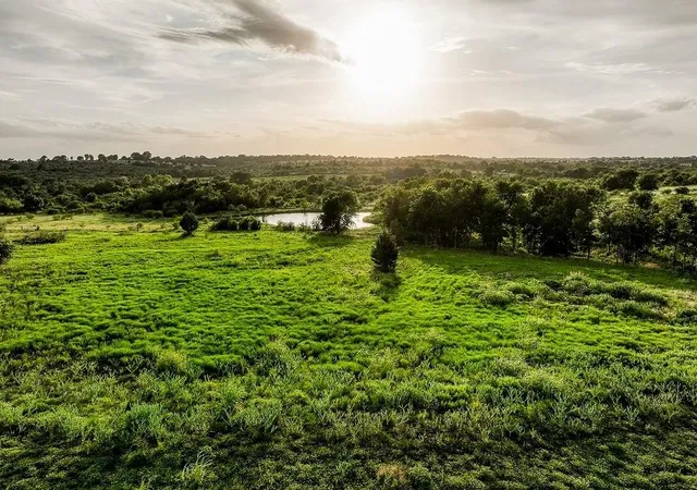 Photo 3 of Land for sale at Lot 10 Hargrove Ln, Washington, TX 77880 | MLS# 34231756 | Listing updated on 2026-06-18