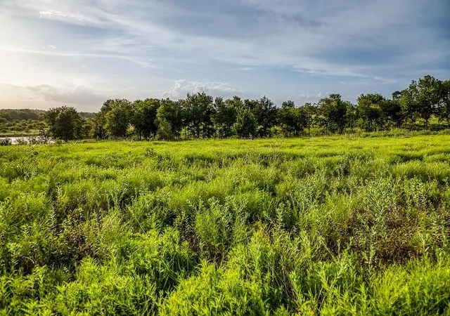 Photo 4 of Land for sale at Lot 10 Hargrove Ln, Washington, TX 77880 | MLS# 34231756 | Listing updated on 2026-06-18