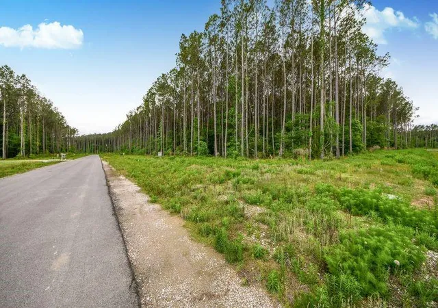 Photo 3 of Land for sale at 4265 Road 66126, Dayton, TX 77535 | MLS# 85801779 | Listing updated on 2026-04-28
