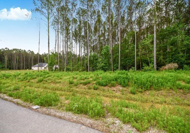 Photo 4 of Land for sale at 4265 Road 66126, Dayton, TX 77535 | MLS# 85801779 | Listing updated on 2026-04-28