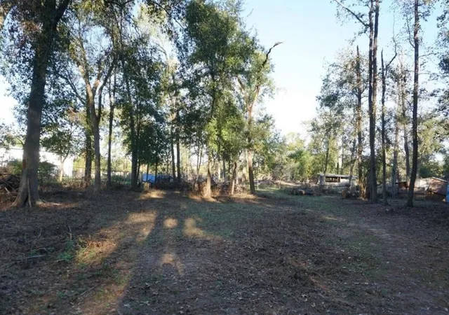 10th image of 424 S Avenue D, Humble, TX 77338 | MLS# 82812598