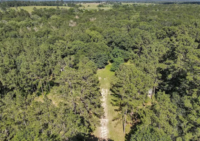 Homes for sale in Plantersville, TX | 6493 Planters Row Ln, Plantersville, TX 77363 | MLS# 28683888