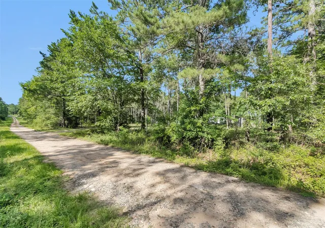 Homes for sale in Plantersville, TX | 6493 Planters Row Ln, Plantersville, TX 77363 | MLS# 28683888
