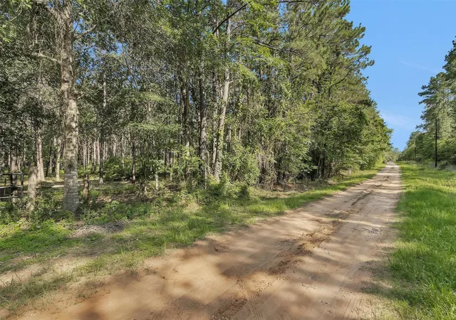 Photo 2 of Sale Pending at 6493 Planters Row Ln, Plantersville, TX 77363 | MLS# 28683888 | Listing updated on 2026-09-08