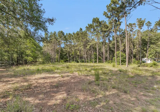 Photo 4 of Sale Pending at 6493 Planters Row Ln, Plantersville, TX 77363 | MLS# 28683888 | Listing updated on 2026-09-08