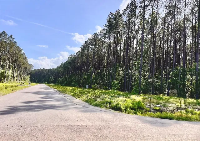 Photo 3 of Land for sale at 4261 Road 66126, Dayton, TX 77535 | MLS# 67580193 | Listing updated on 2026-04-15