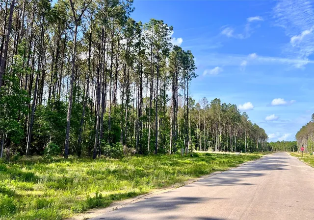 Photo 3 of Land for sale at 4261 Road 66126, Dayton, TX 77535 | MLS# 67580193 | Listing updated on 2026-04-15