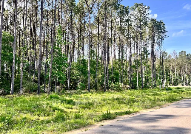 Photo 4 of Land for sale at 4261 Road 66126, Dayton, TX 77535 | MLS# 67580193 | Listing updated on 2026-04-15