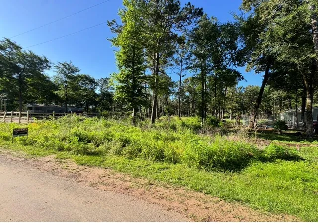 Homes for sale in Plantersville, TX | 8020 Tawnyberry Ln, Plantersville, TX 77363 | MLS# 94738213