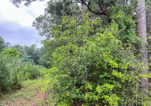 Photo 2 of Land for sale at 0 Fm 1475, Lufkin, TX 75901 | MLS# 34596476 | Listing updated on 2026-04-27