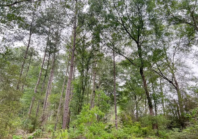 Photo 3 of Land for sale at 0 Fm 1475, Lufkin, TX 75901 | MLS# 34596476 | Listing updated on 2026-04-27