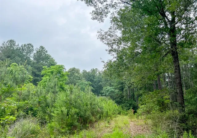 Photo 4 of Land for sale at 0 Fm 1475, Lufkin, TX 75901 | MLS# 34596476 | Listing updated on 2026-04-27