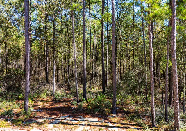 10th image of 032 King Ranch Rd, Onalaska, TX 77360 | MLS# 6485905