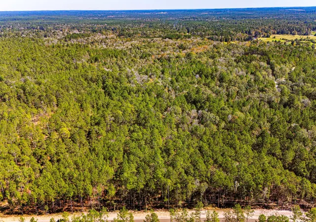 2nd image of 032 King Ranch Rd, Onalaska, TX 77360 | MLS# 6485905