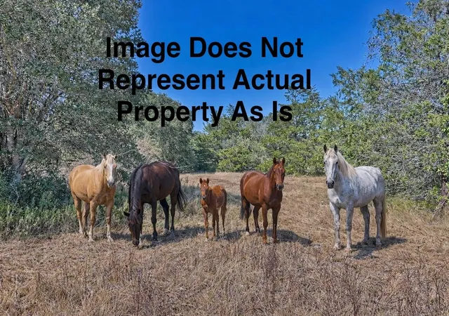 23rd image of Tbd Ullrich Rd, Carmine, TX 78932 | MLS# 82126133