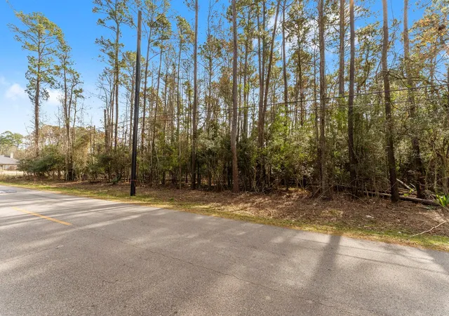 4th image of 0 Magnolia Point Dr, Huffman, TX 77336 | MLS# 13608629